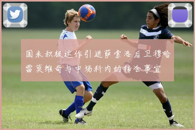 国米积极运作引进萨索洛后卫穆哈雷莫维奇与中场科内的转会事宜